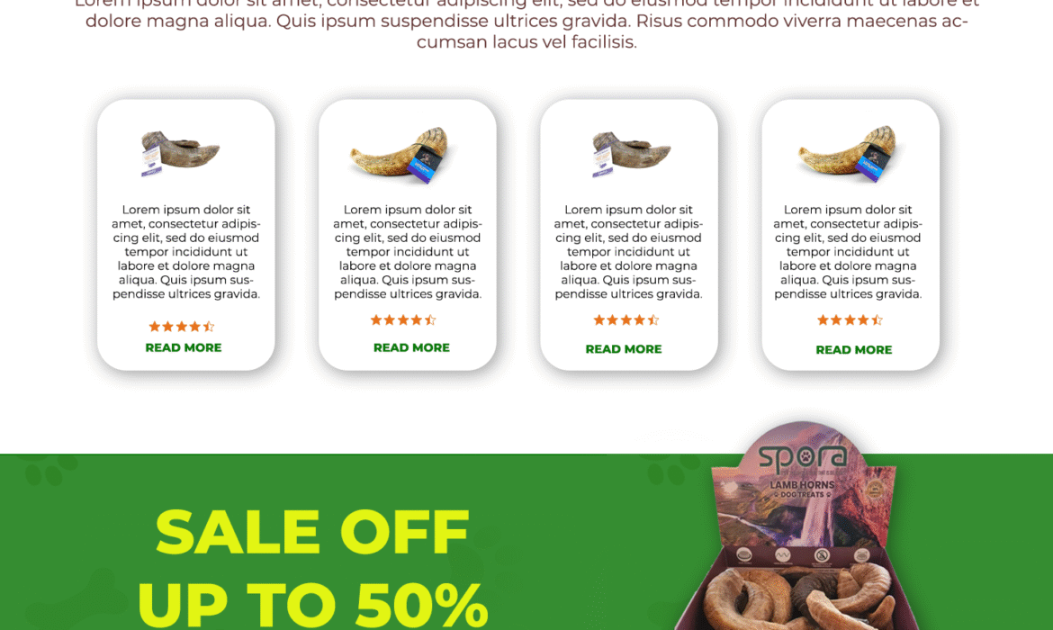 Wix Website